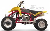 2010 Cobra ECX70 photo